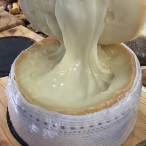 Cremositos del Zújar