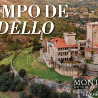 Vino Godello D.O. Monterrei Lara da Silva - Imagen 4